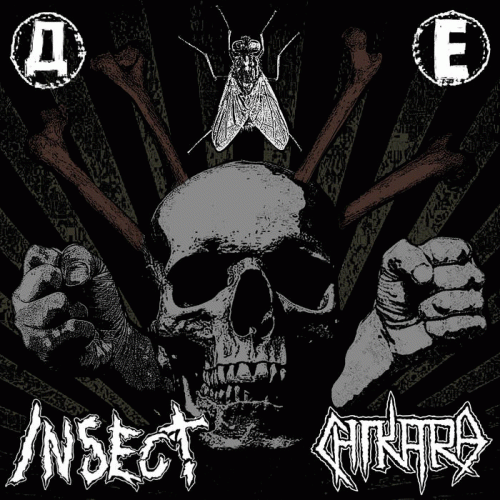 Chikara : Insect - Chikara